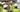 Construction Worker Giving a Safety Induction