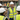 Construction Worker Giving a Safety Induction