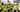 Group of construction workers having an induction