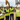 Group of construction workers having an induction
