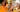Health and safety workers in hard hats and high visibility vests