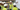 Construction Worker Giving a Safety Induction
