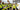 Group of construction workers having an induction